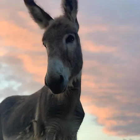 La Maison De Coutil, Aux De L'etang Des Noues *