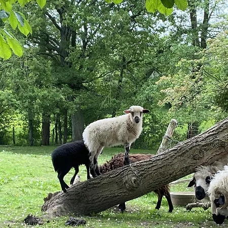 La Maison De Coutil, Aux De L'etang Des Noues *