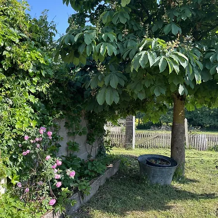 La Maison De Coutil, Aux De L'etang Des Noues * Cholet