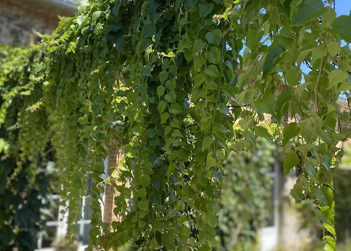 La Maison De Coutil, Aux De L'etang Des Noues Σολέ